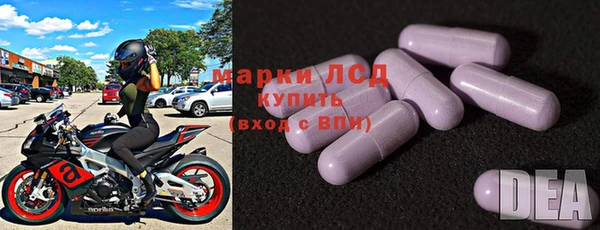стаф Кукмор