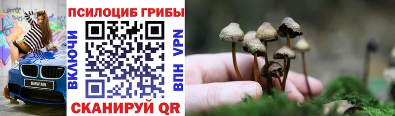 Галлюциногенные грибы GOLDEN TEACHER  KRAKEN как зайти  Мурманск  где купить наркотик 