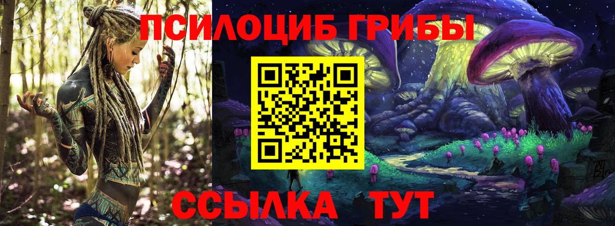 Галлюциногенные грибы ЛСД Мурманск