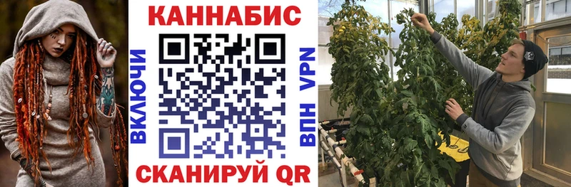 Конопля Bruce Banner  Мурманск 